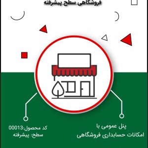 نرم افزار حسابداری فروشگاهی سطح پیشرفته- کد 00013