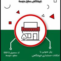 نرم افزار حسابداری فروشگاهی سطح متوسط- کد 00012